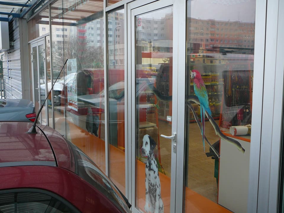 Polep výkladu alebo interiéru – realizácia ReFABRIKA