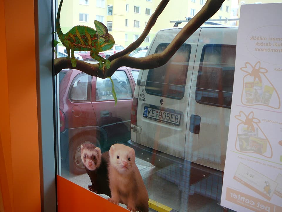 Polep výkladu alebo interiéru – realizácia ReFABRIKA