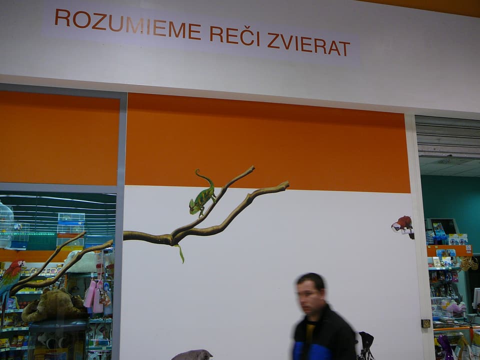 Polep výkladu alebo interiéru – realizácia ReFABRIKA